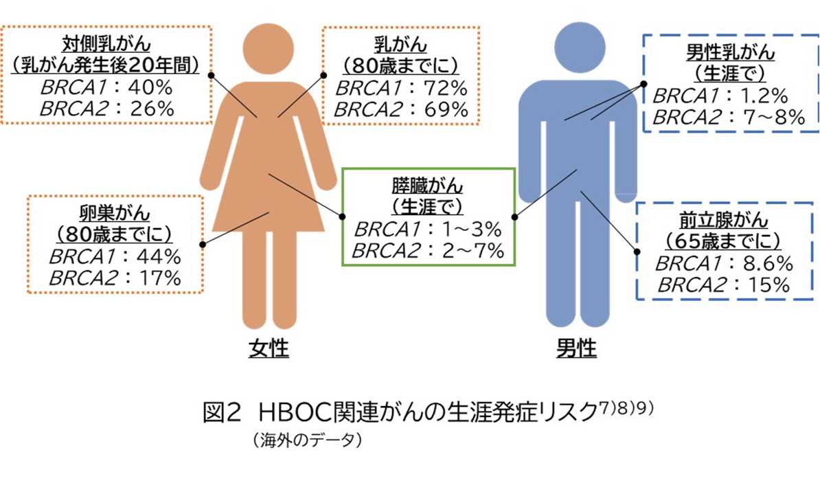 図2　HBOC関連がんの生涯発症リスク